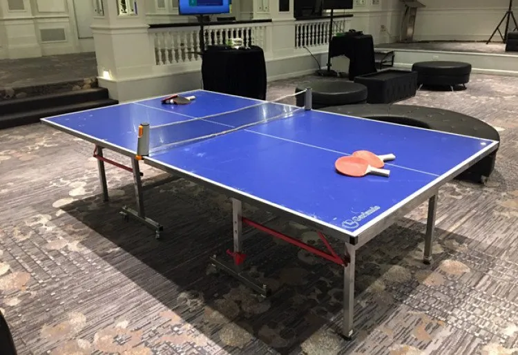 Ping Pong (Table Tennis) Table